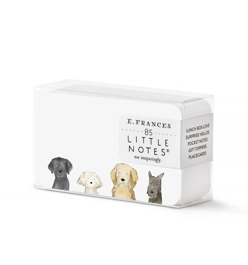Little Notes Boxed Set of 85 Mini Note Cards dog days