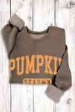 Pumpkin Mineral Sweatshirt