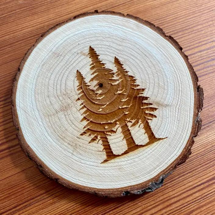 Engraved Wood Coasters | Pine Tree