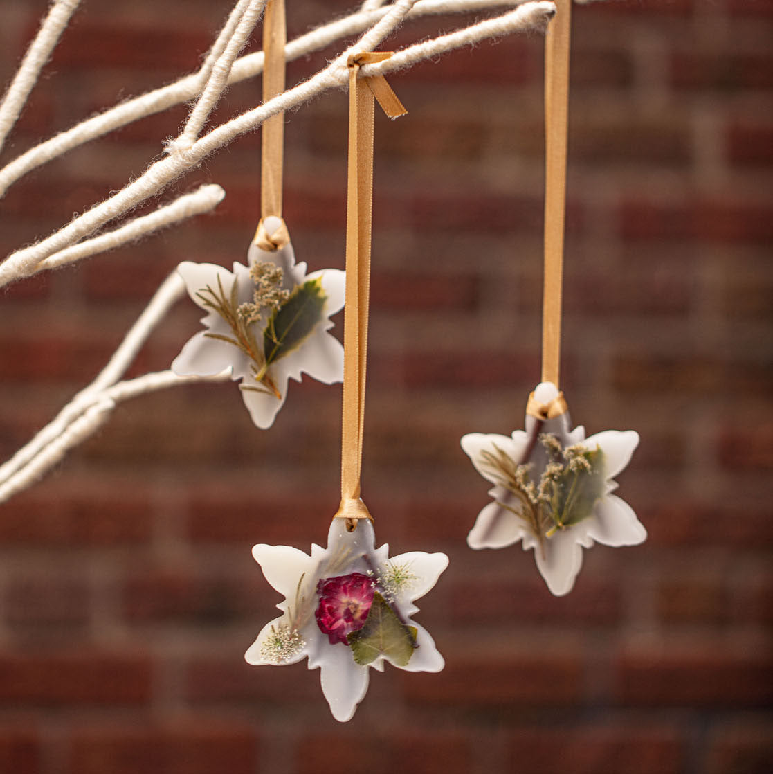 Snowflake Botanical Sachet | Spicy Apple hanging