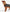 Barbour Tartan Wax Dog Coat dog 3