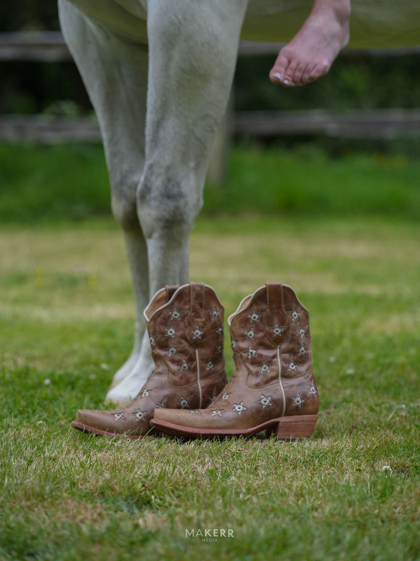 Black Star Women's Marfa Star Inlay Studded Bootie