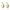 Gold Cosa Hoops