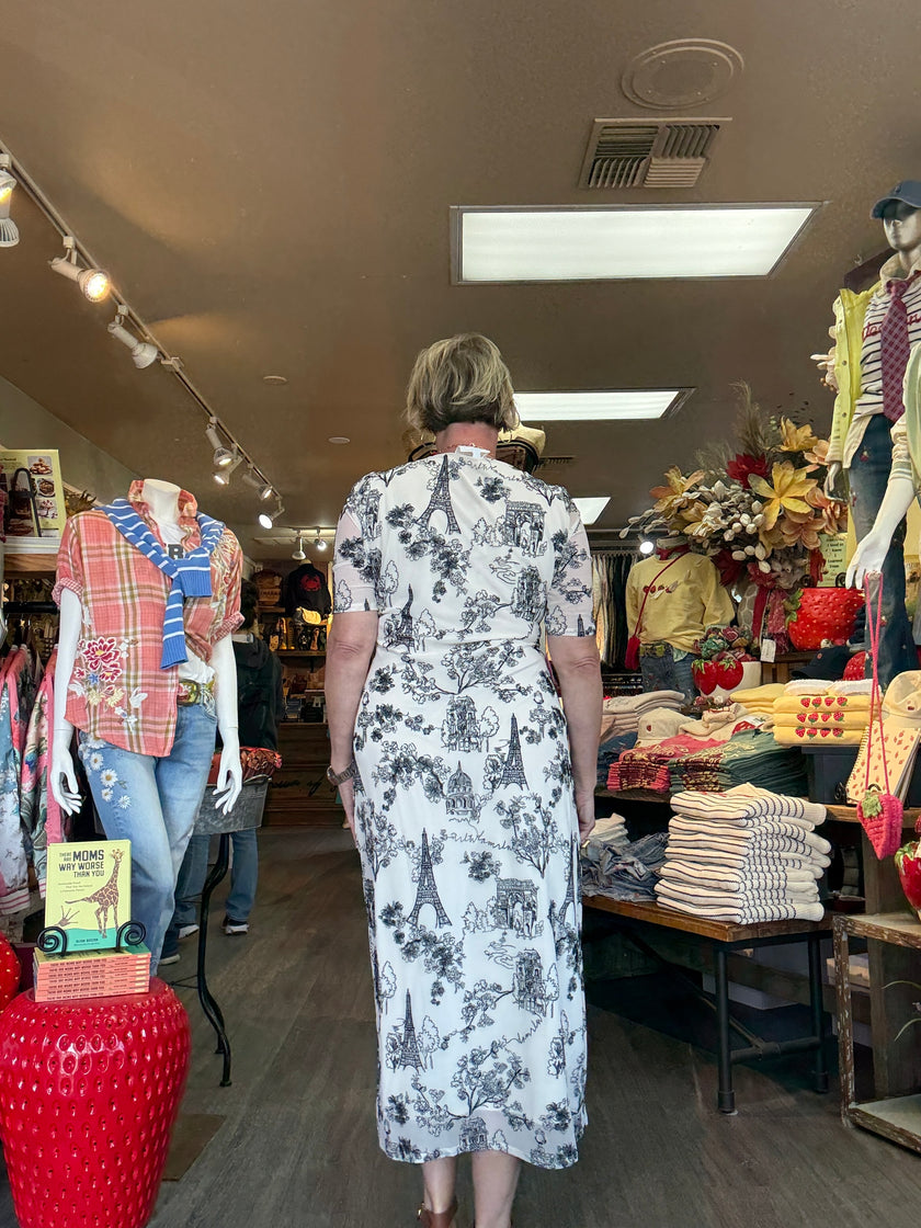 Johnny Was MAYA MESH MIDI DRESS Louise Ecru back