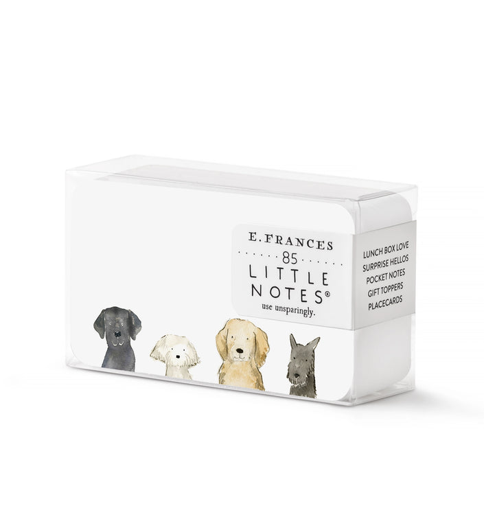 Little Notes Boxed Set of 85 Mini Note Cards dog days