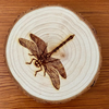 Engraved Wood Coasters | Dragonfly