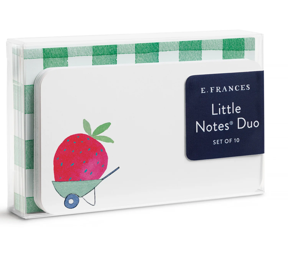 Strawberry Little Notes Duo Set, Mini Note cards & Envelopes