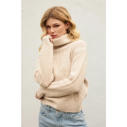 Fluffy Cable Detail Turtle Neck Sweater