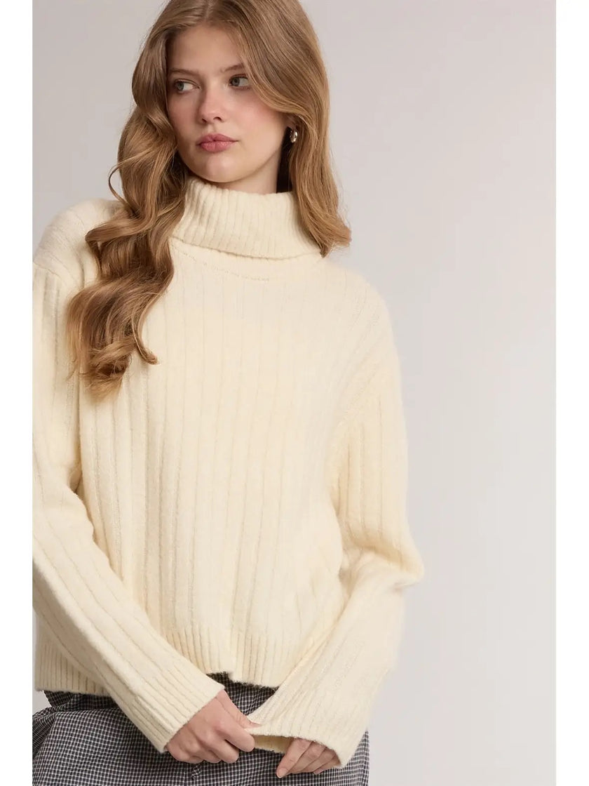 Carly Ribbed Turtleneck Sweater