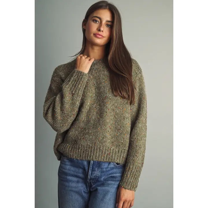 Jinny Multicolor Flecked Crewneck Sweater