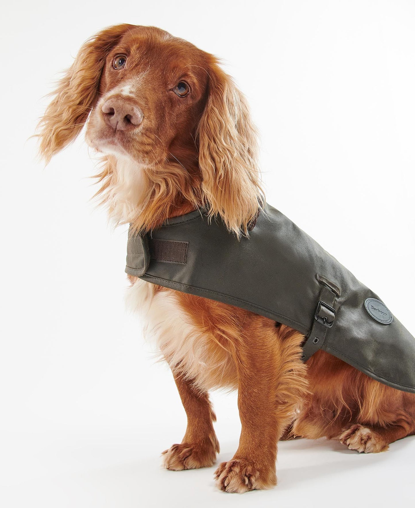 Barbour Wax Dog Coat model