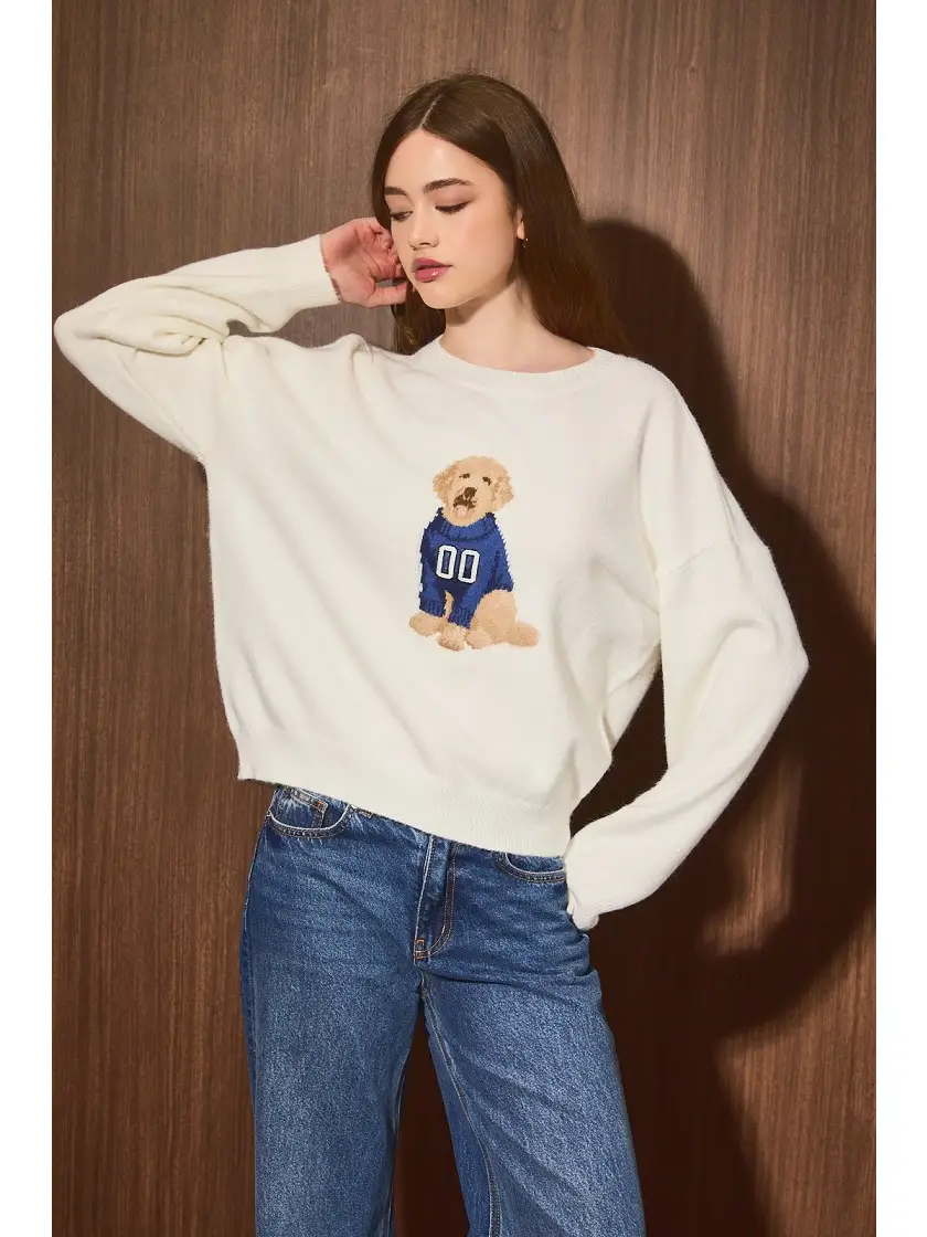 Dog Game Day Sweater
