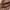 PANIOLO Womens Leather Flip Flops stich detail