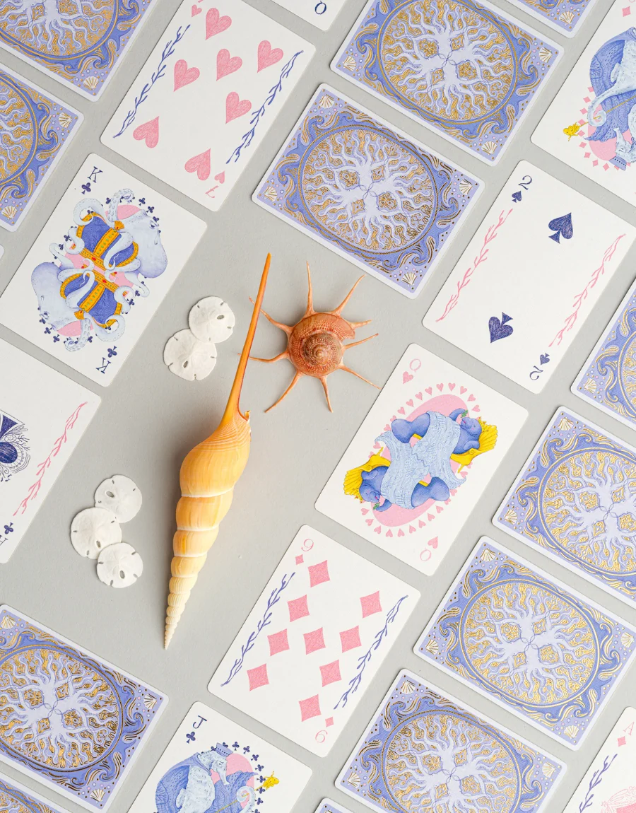 Whimsical Playing Cards Book Box Set