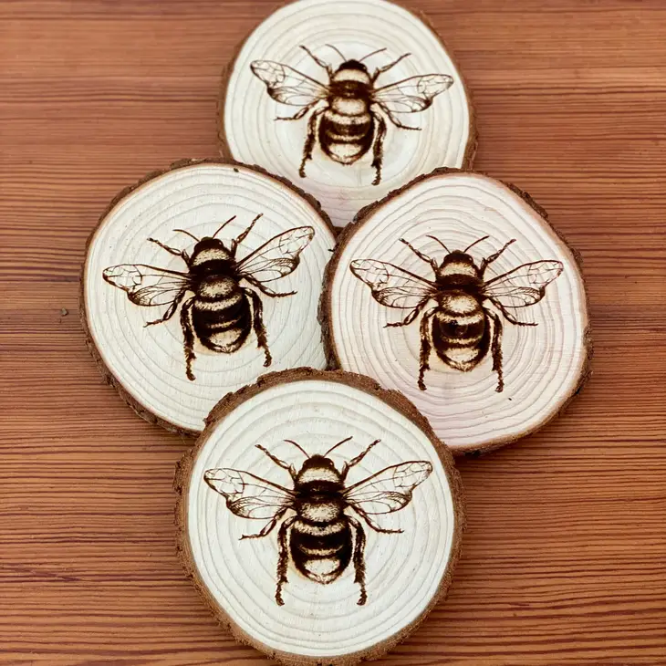 Engraved Wood Coasters | Bee grouping