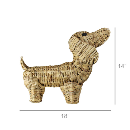 Standing Dog Water Hyacinth specs
