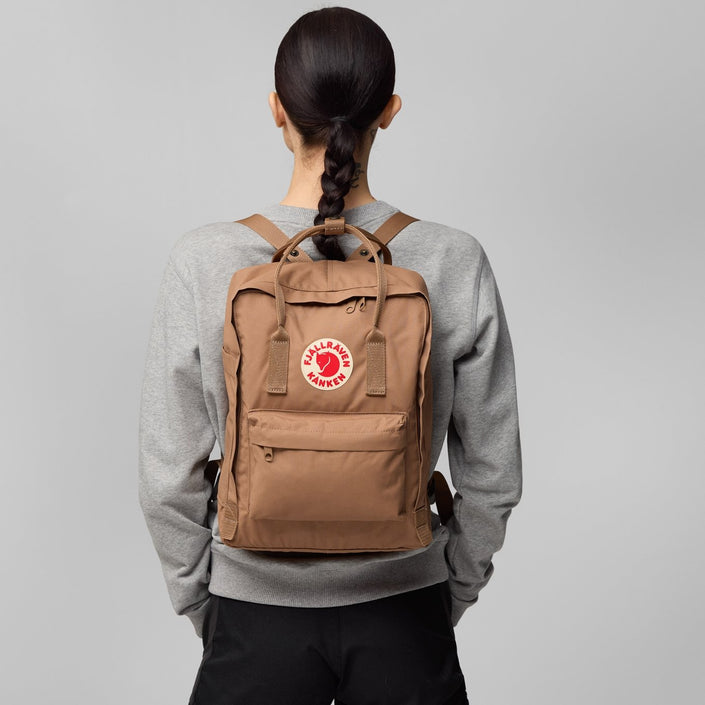 Fjallraven Kanken Backpack ' back