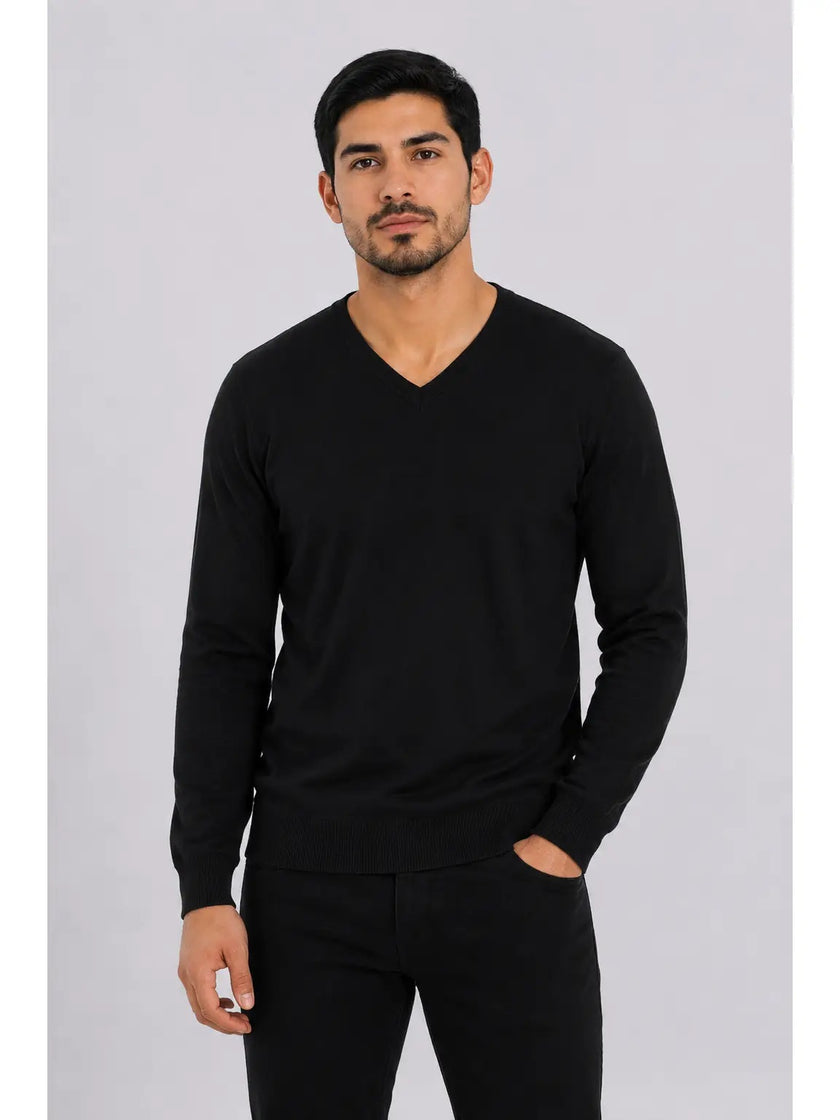 SOLID V-NECK SWEATER
