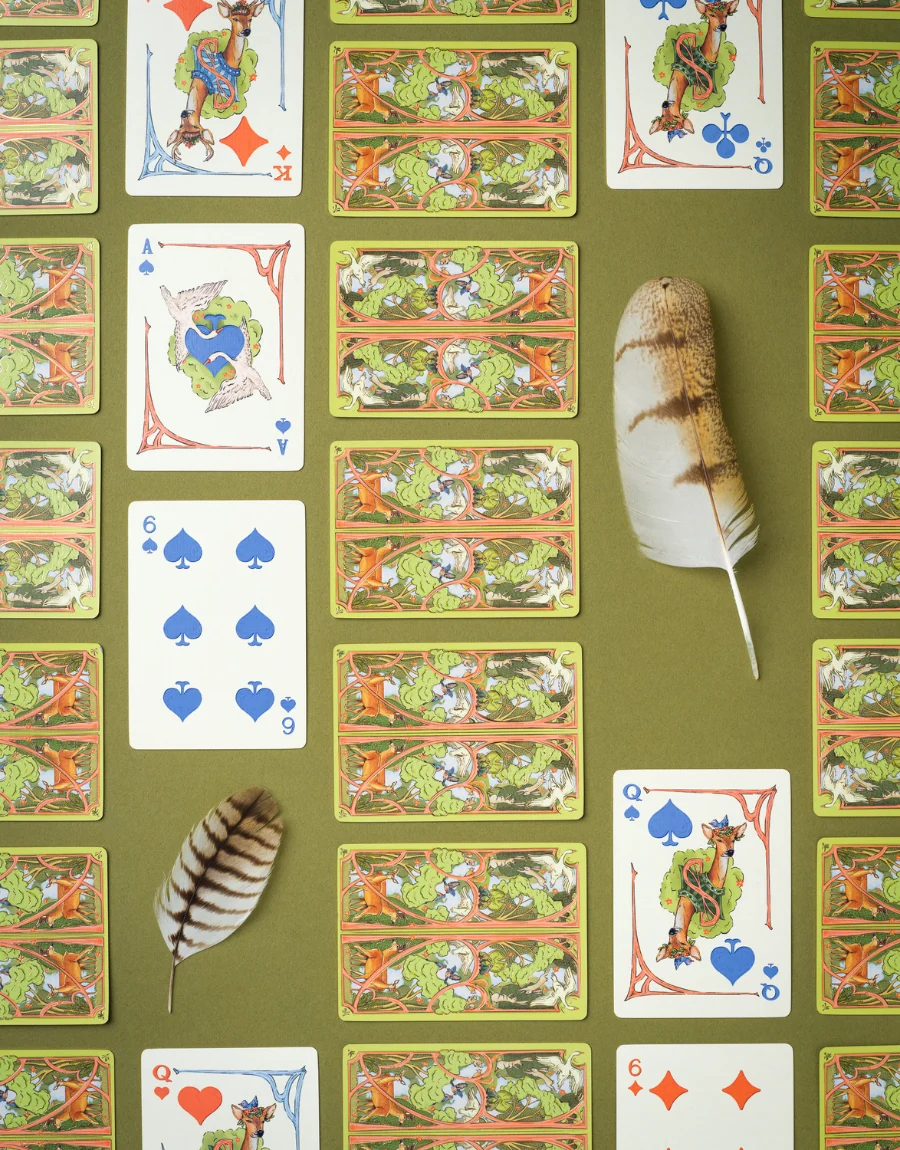 Whimsical Playing Cards Book Box Set