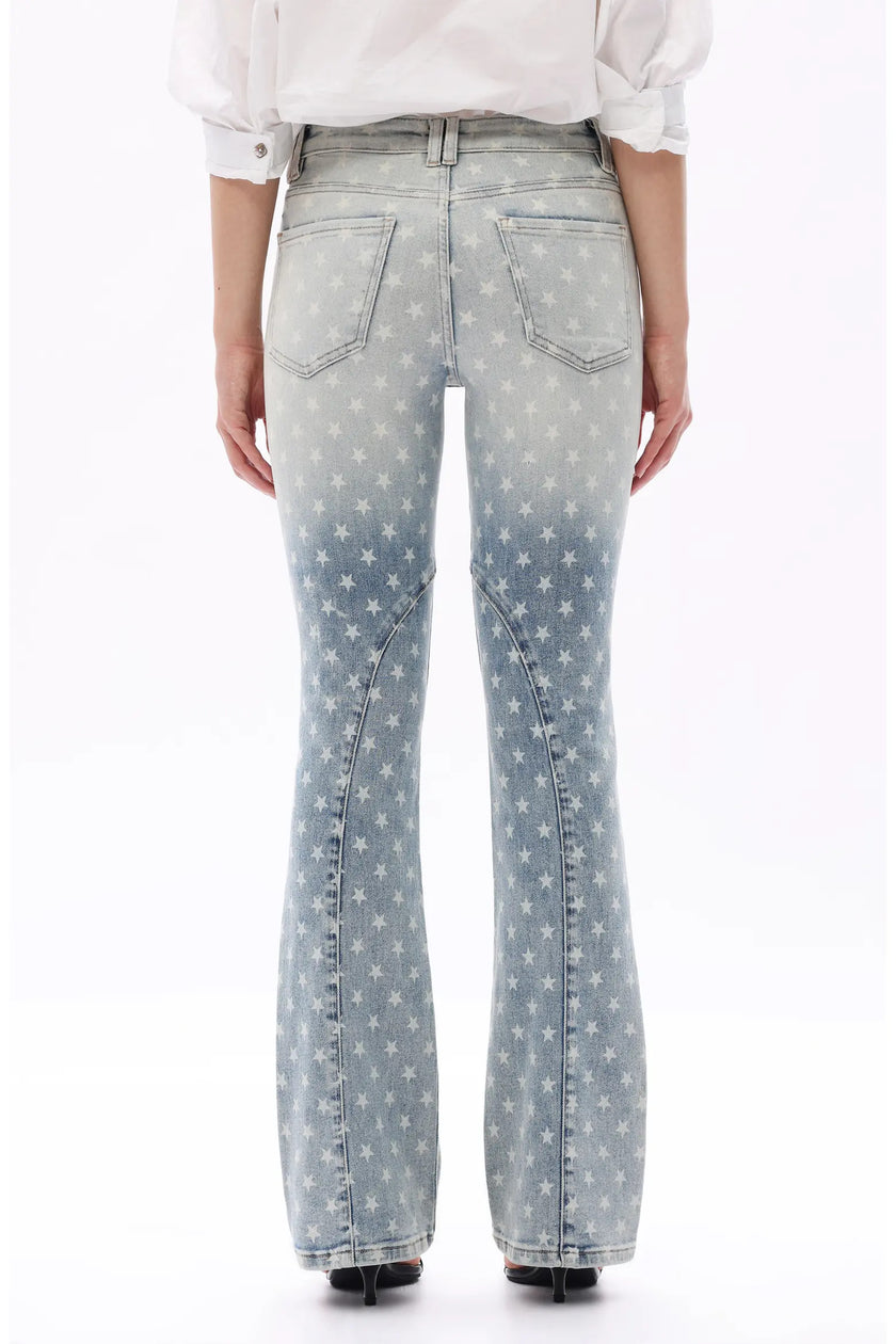 Retro Star Jean