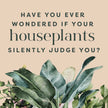 Houseplants and Their F*cked-Up Thoughts-inside page