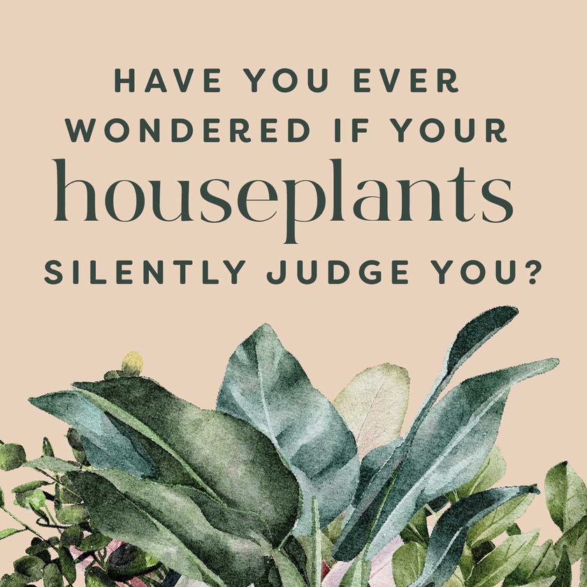 Houseplants and Their F*cked-Up Thoughts-inside page