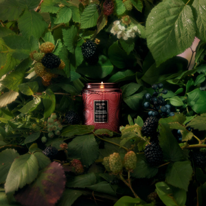 Foraged Wildberry | 5.5oz Small Candle