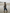 The Loft Coat