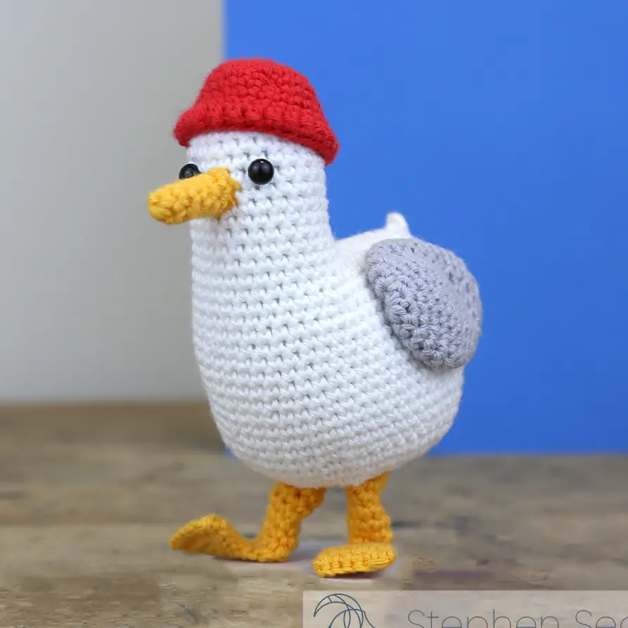 Stephen Seagull