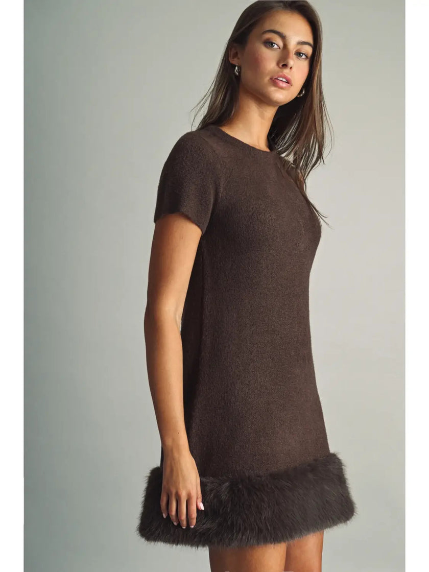 Cozy Faux Fur Mini Dress, brown-side