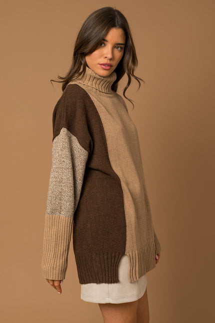 Hannah Color Block TurtleNeck side