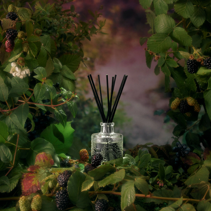 Foraged Wildberry  |  100 ml Reed Diffuser