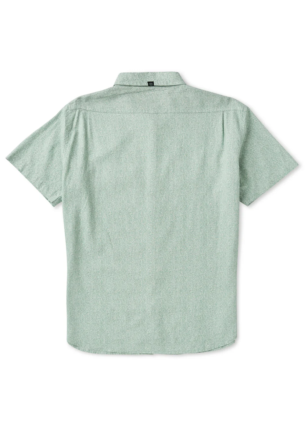 Tangled SS Shirt back agave