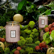 Panjore Lychee | 18oz Large Candle display