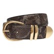 Snake Print with Shiny Gold Buckle Set