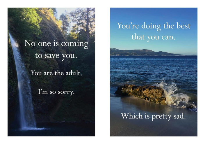 Disappointing Affirmations by Dave Tarnowski inside pages