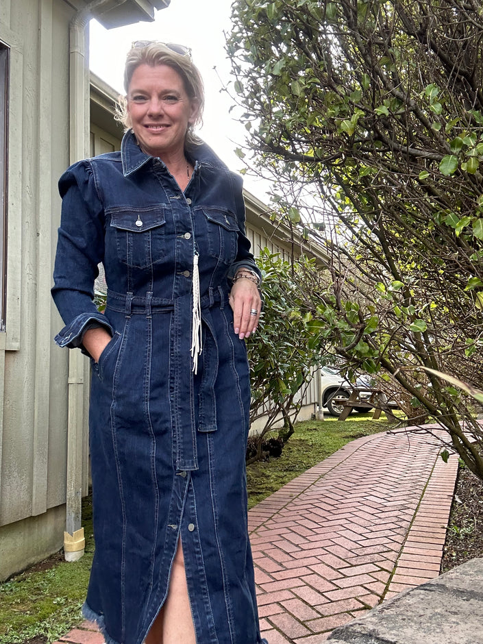 Audree Denim Jacket Dress front