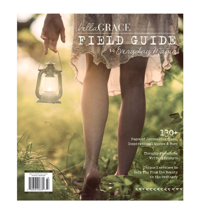 Field Guide To Everyday Magic Issue 14 cover