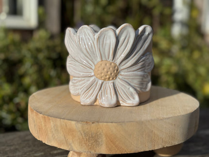 Daisy Cachepot Ceramic
