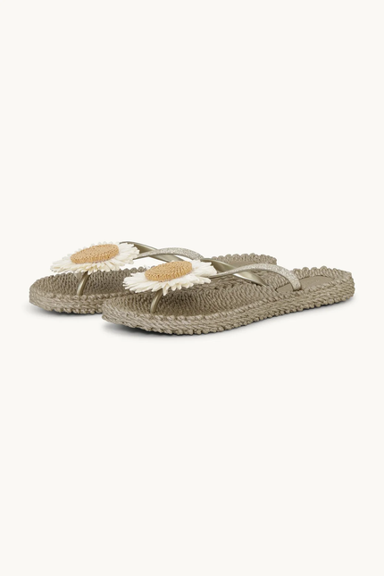 Cheerful 16F Flip Flops platin