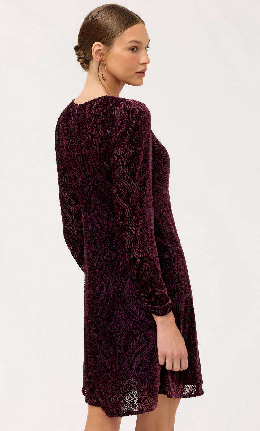 Poppy Paisley Donovan Dress back