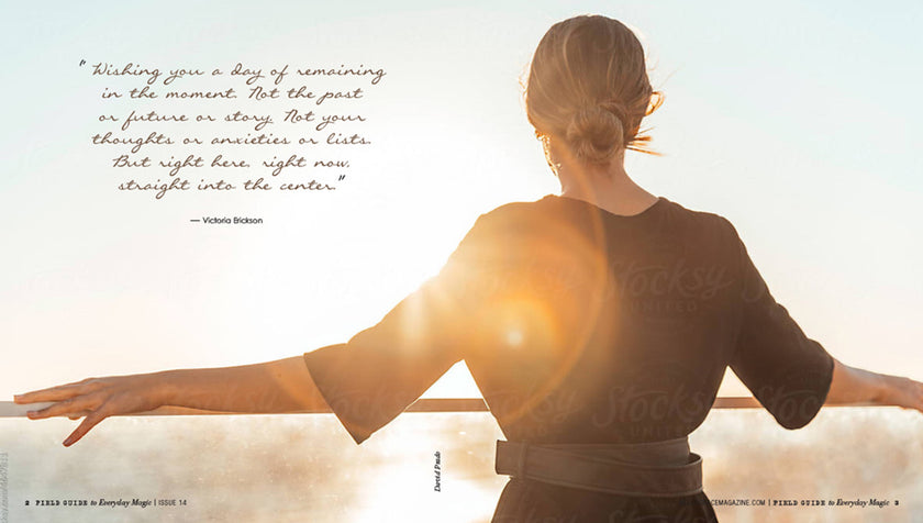 Field Guide To Everyday Magic Issue 14 sample page 2
