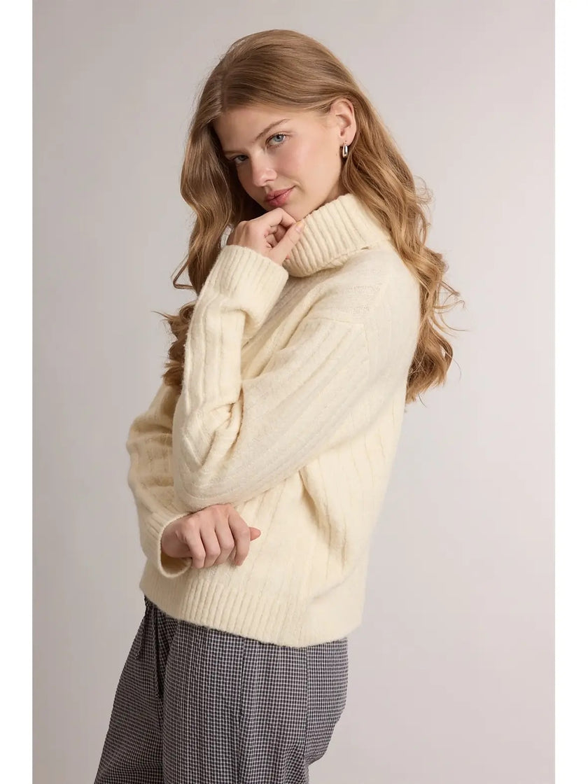 Carly Ribbed Turtleneck Sweater
