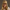 Tan & Brown Whiskey Weather Trucker Hat