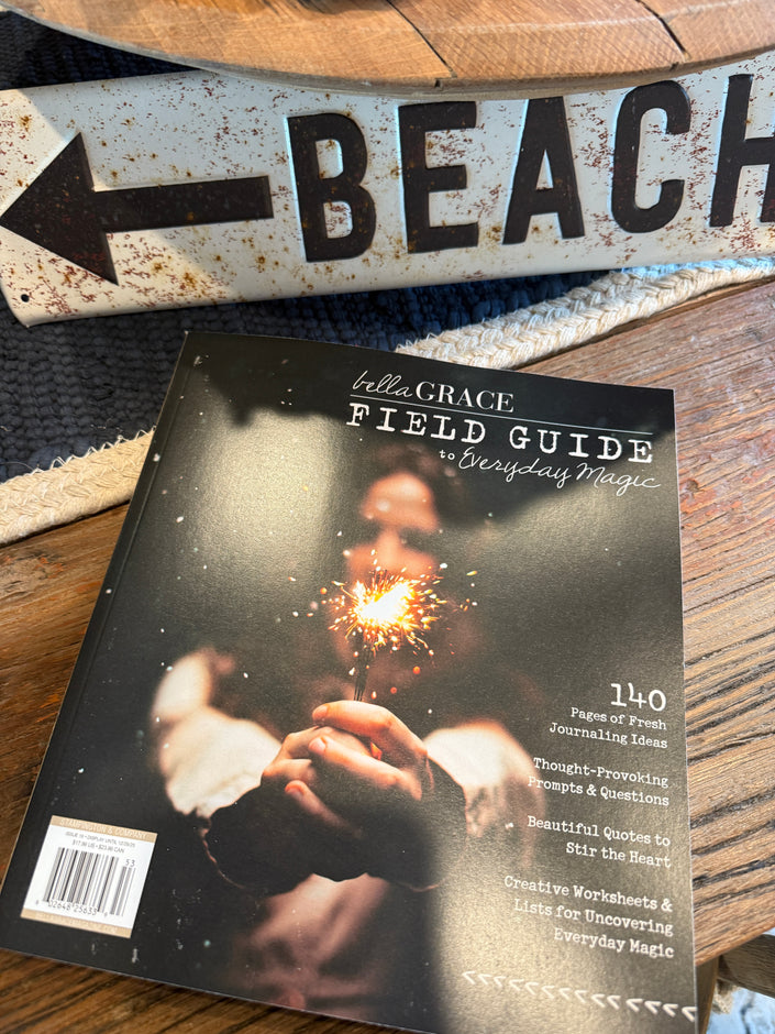 Field Guide To Everyday Magic Issue 16