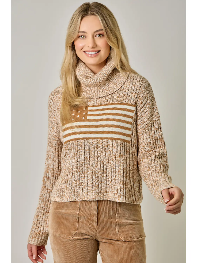 Flag Turtleneck Sweater