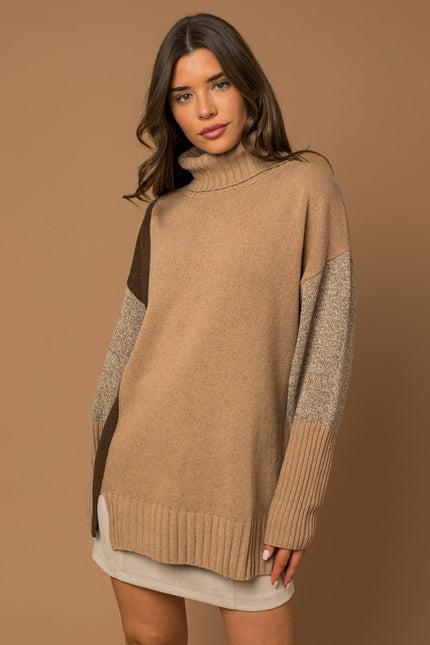 Hannah Color Block TurtleNeck front