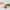 Wood Pig w/6 Appetizer Forks