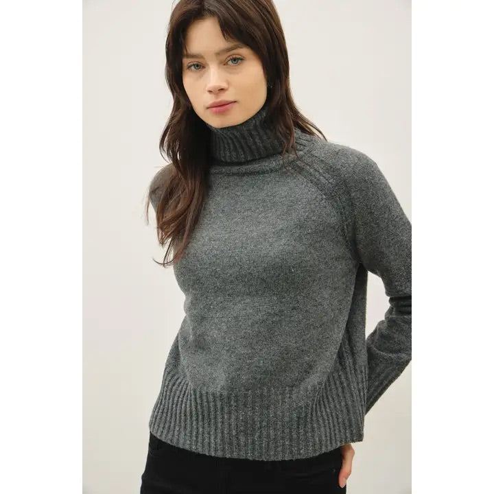 Reneé Wide Rib Raglan Turtleneck Sweater, charcoal-front