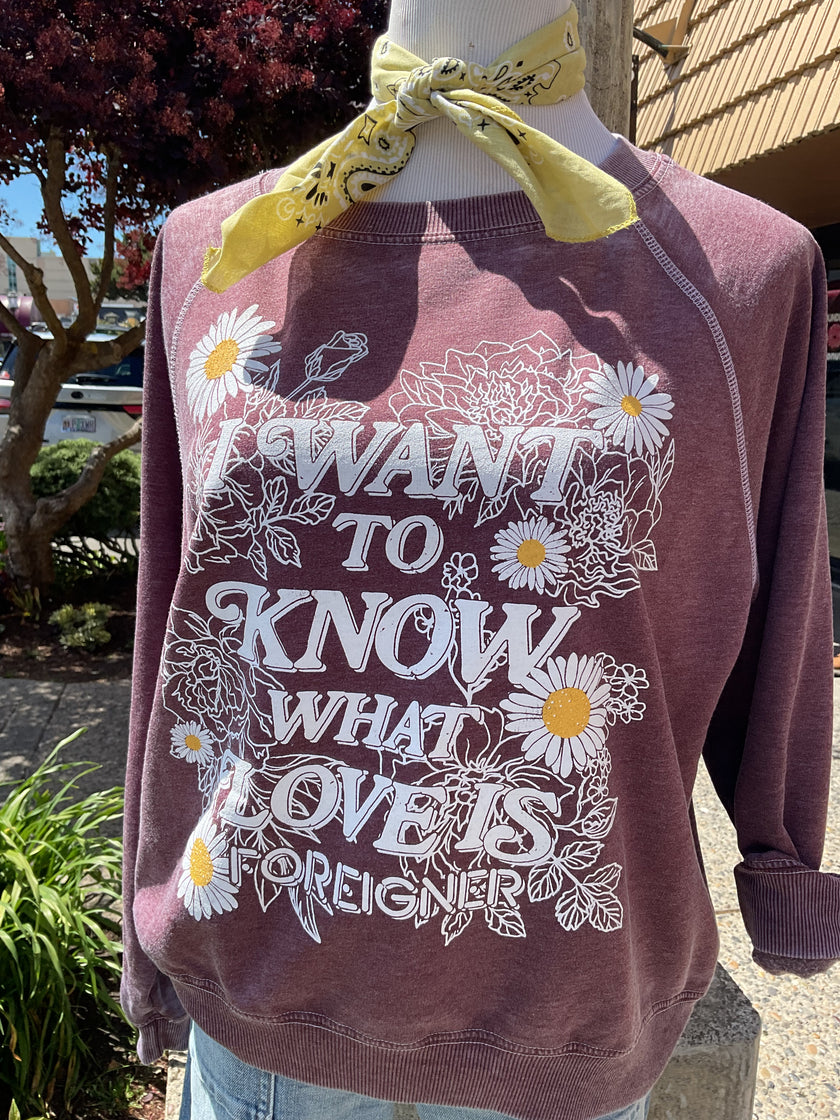 Foreigner Sweater I Want To Know
